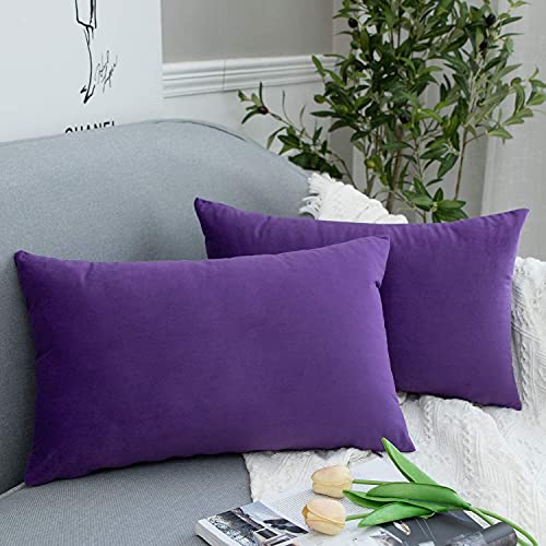 Blue Monkey Soft Velvet Cushion Cover Soft Throw Pillow Cover Pack of 2, Solid Square Cushion Case (18x27, Purple) - Image 1