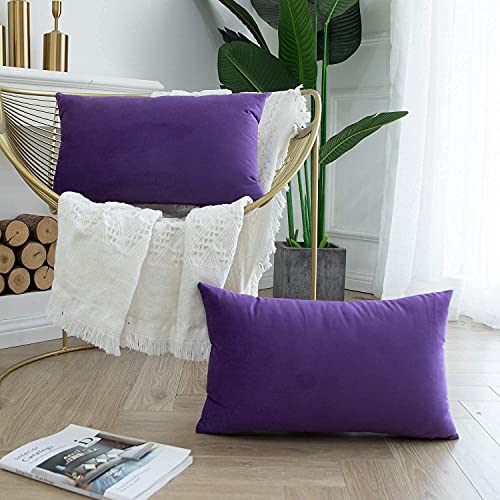 Blue Monkey Soft Velvet Cushion Cover Soft Throw Pillow Cover Pack of 2, Solid Square Cushion Case (18x27, Purple) - Image 2
