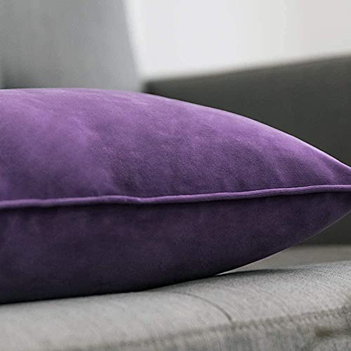 Blue Monkey Soft Velvet Cushion Cover Soft Throw Pillow Cover Pack of 2, Solid Square Cushion Case (18x27, Purple) - Image 3