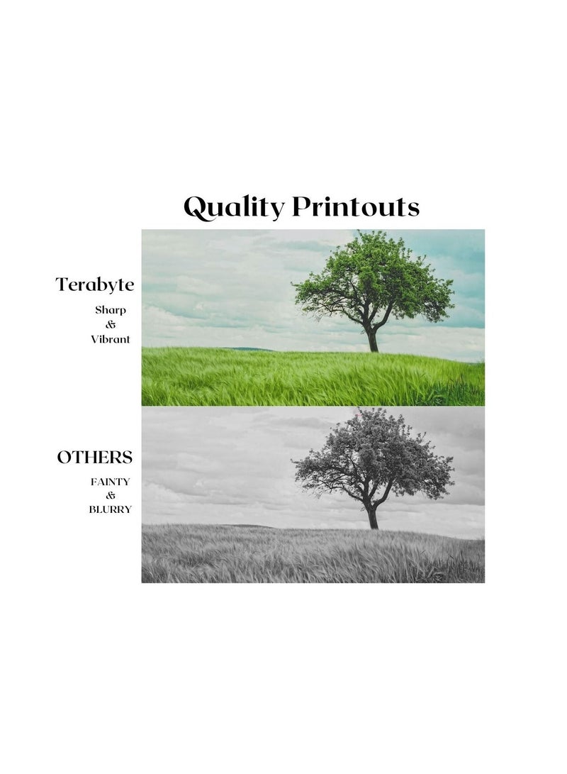 Terabyte TONER CARTRIDGE TN421K/441/451/426/446/456/429/459/436/423 YELLOW - Image 4