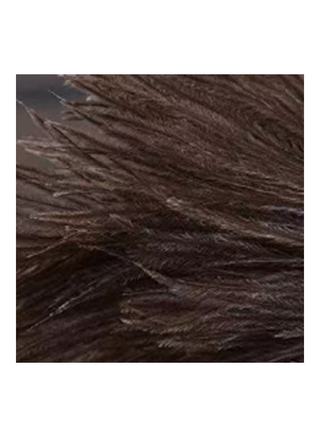 اليشمك منفضة غبار مصنوعة من ريش النعام الطبيعي بني - Image 5