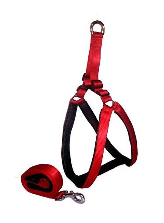 Skora Soft Padded Body Set-Leash & Harness Medium Size(Red Black)