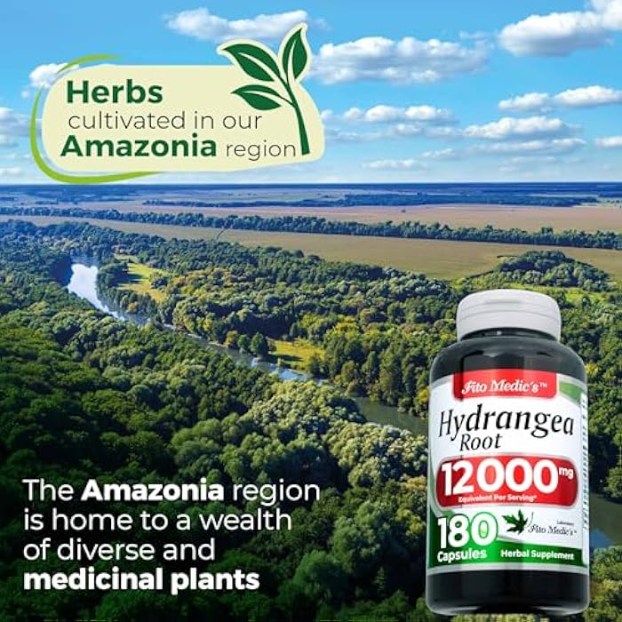 FITO MEDIC'S Lab | Hydrangea Root | Hydrangea Root Capsules |180 Capsules - Image 5