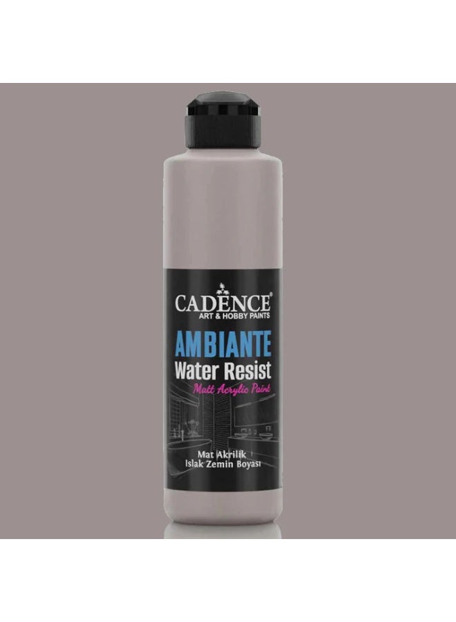 Ambiante Water Resist Mink Gray - 250ML