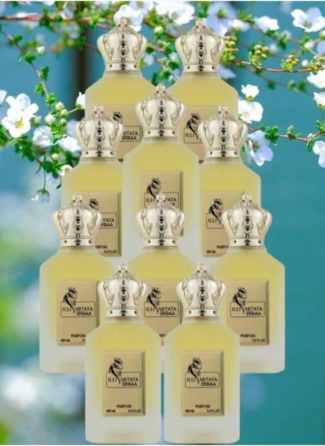 10 Pieces Illimitata Erbaa Perfume 100ML - pzsku/ZBB219E7477E6A1EB2CC3Z/45/_/1714650821/42e80b20-225f-48f4-b714-d37319d4aebc