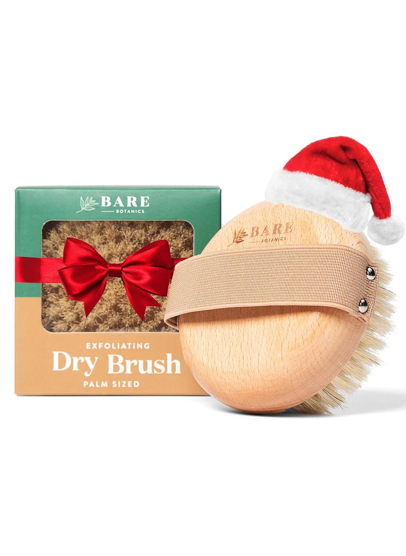 Bare Botanics Dry Body Brush for Lymphatic Drainage | Gentle Exfoliation for Soft Skin | Ergonomically Designed with Elastic Strap | Soft but Firm Natural Boar Bristles
