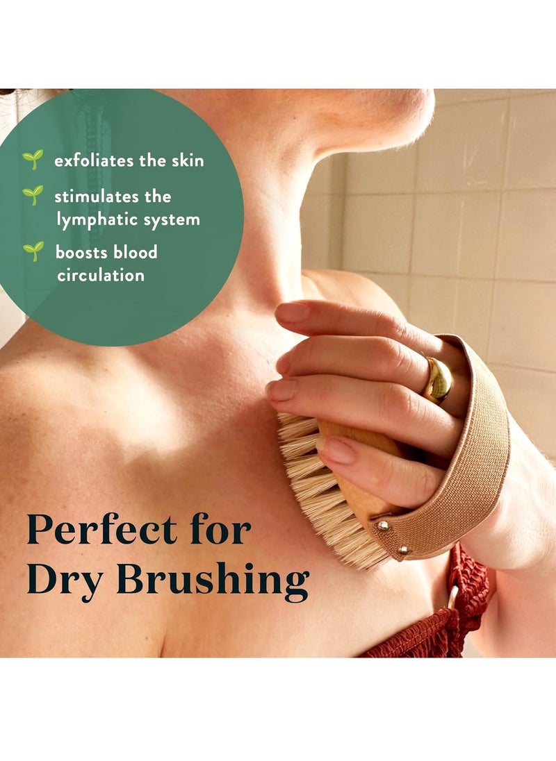 Bare Botanics Dry Body Brush for Lymphatic Drainage | Gentle Exfoliation for Soft Skin | Ergonomically Designed with Elastic Strap | Soft but Firm Natural Boar Bristles