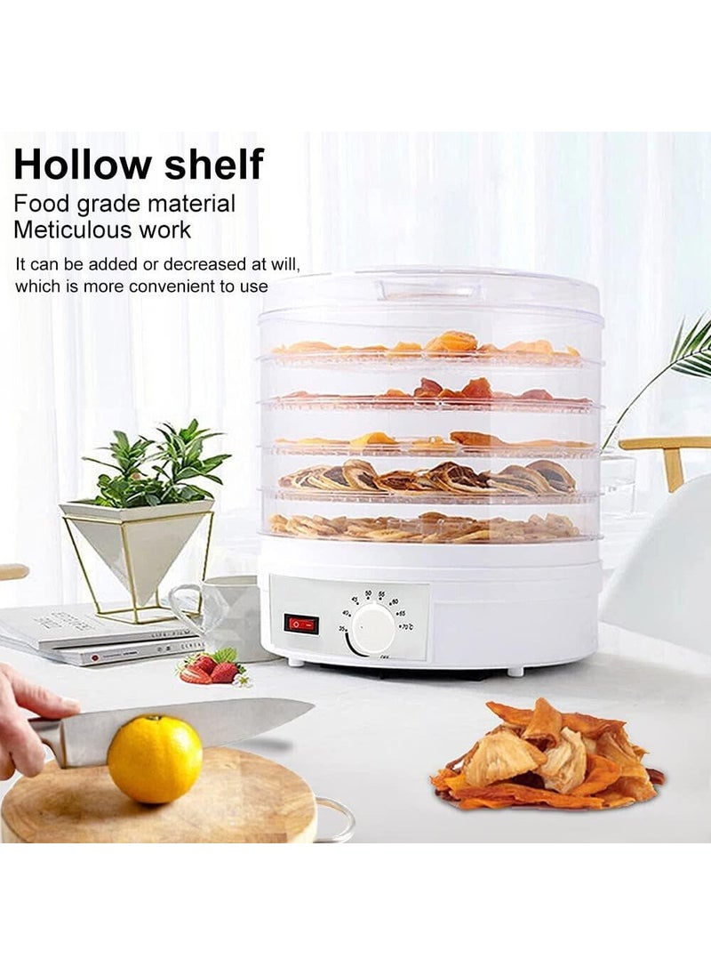 Divik Digital Adjustable Timer Temperature Control Food Dehydrator With 5 Stackable Trays Food Preserver Machine for Fruits herbs Veggies Spice Meat Beef 1Pcs