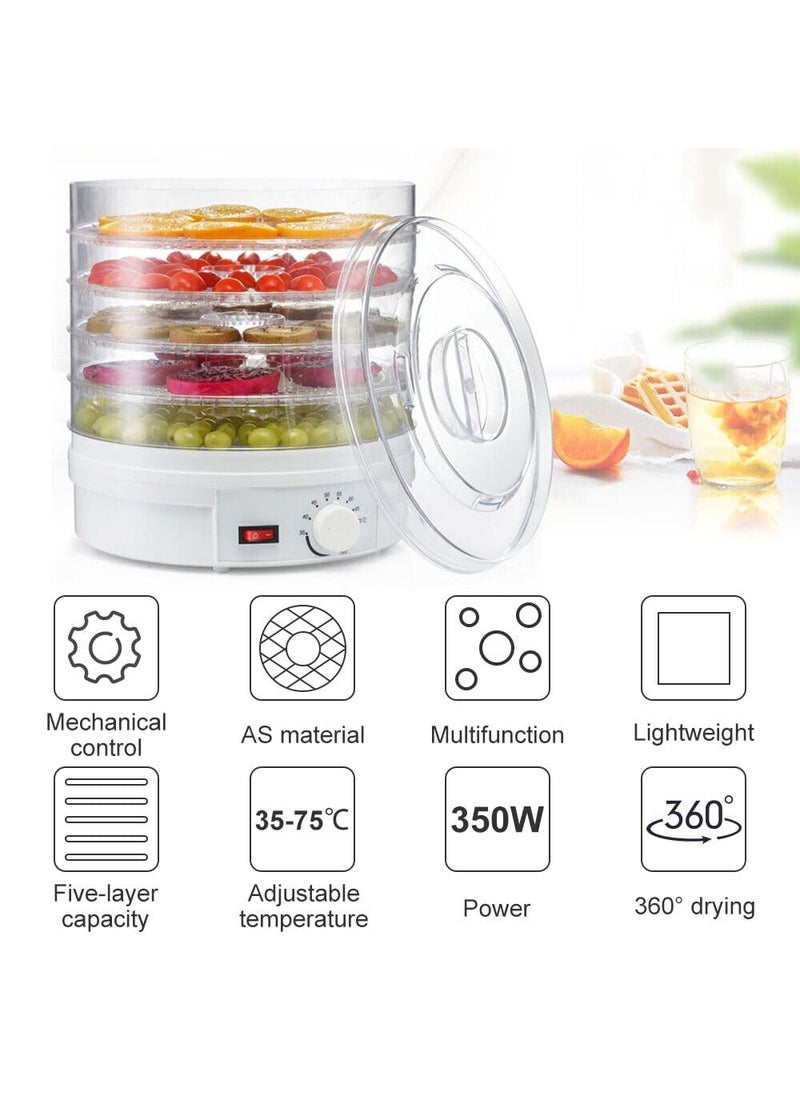 Divik Digital Adjustable Timer Temperature Control Food Dehydrator With 5 Stackable Trays Food Preserver Machine for Fruits herbs Veggies Spice Meat Beef 1Pcs