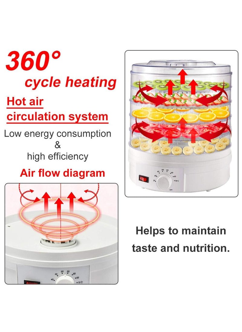 Divik Digital Adjustable Timer Temperature Control Food Dehydrator With 5 Stackable Trays Food Preserver Machine for Fruits herbs Veggies Spice Meat Beef 1Pcs