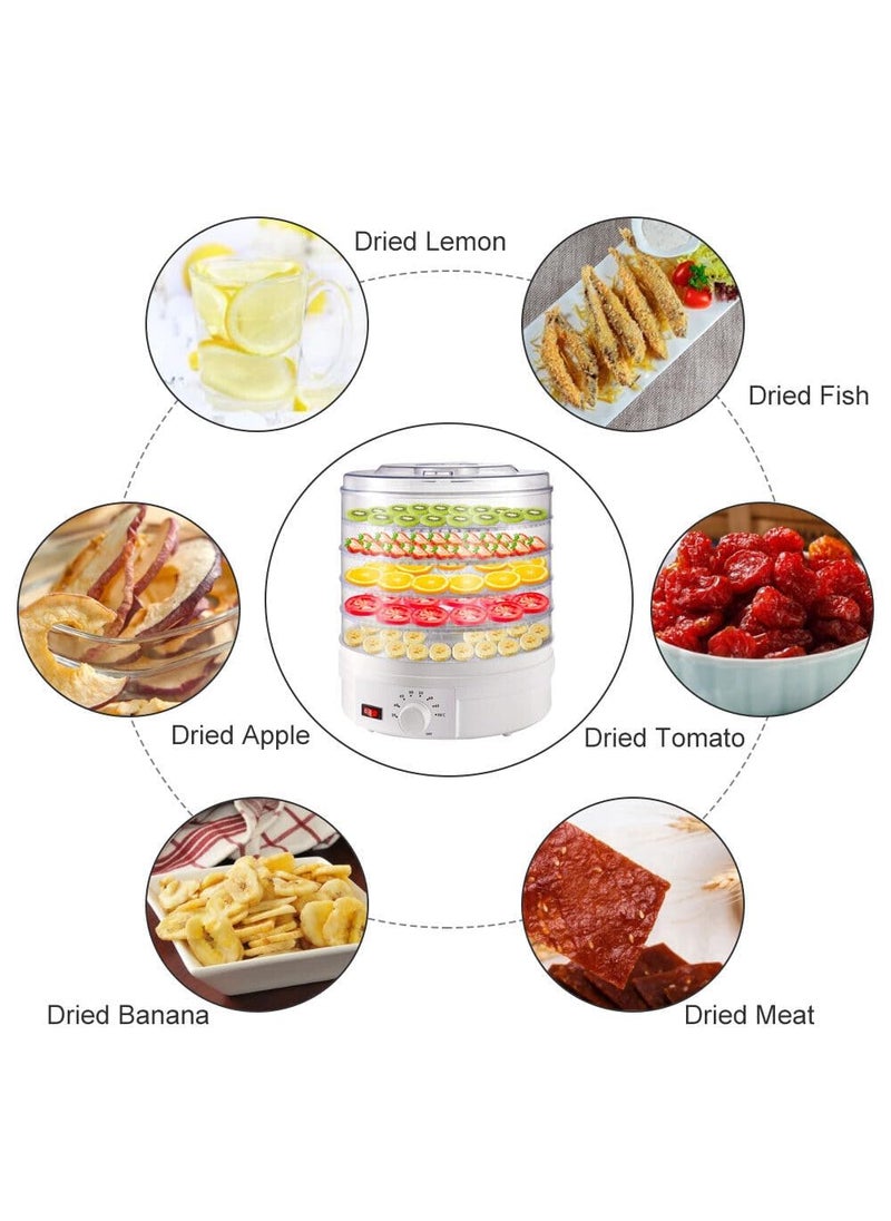 Divik Digital Adjustable Timer Temperature Control Food Dehydrator With 5 Stackable Trays Food Preserver Machine for Fruits herbs Veggies Spice Meat Beef 1Pcs