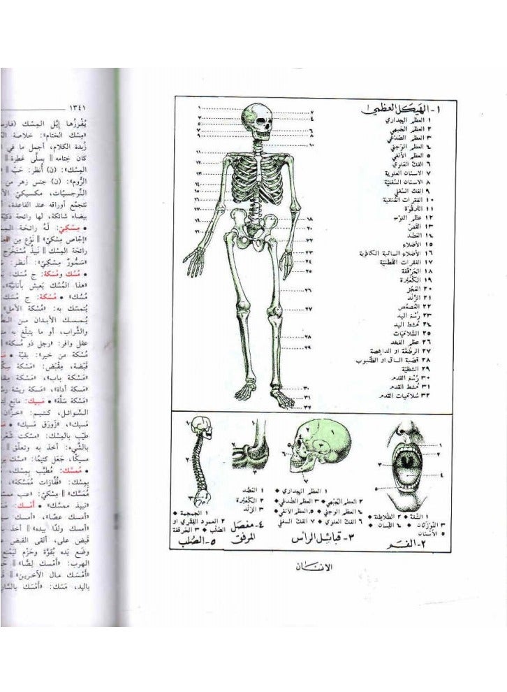 المنجد في اللغة العربية المعاصرة - Image 3