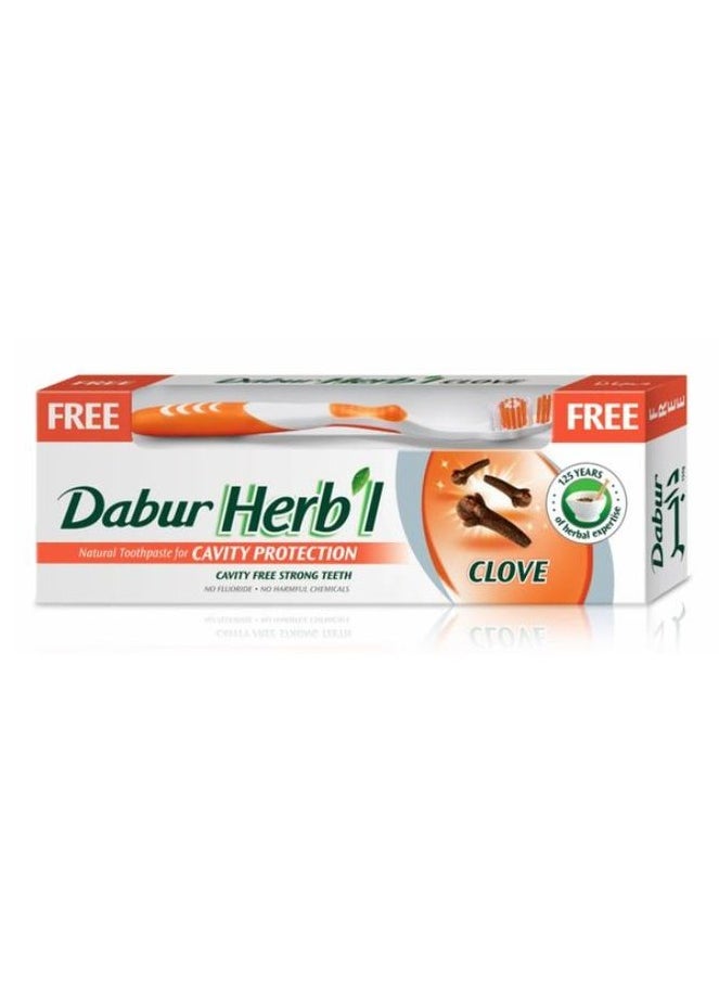 Dabur Herb'l Dabur Herbal Cavity Protection Clove Toothpaste 140gm + Free Toothbrush Multicolor  - Image 1
