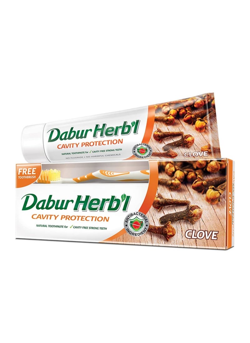 Dabur Herb'l Dabur Herbal Cavity Protection Clove Toothpaste 140gm + Free Toothbrush Multicolor  - Image 2