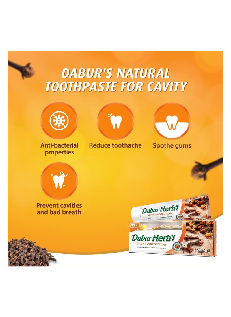 Dabur Herb'l Dabur Herbal Cavity Protection Clove Toothpaste 140gm + Free Toothbrush Multicolor  - Image 5