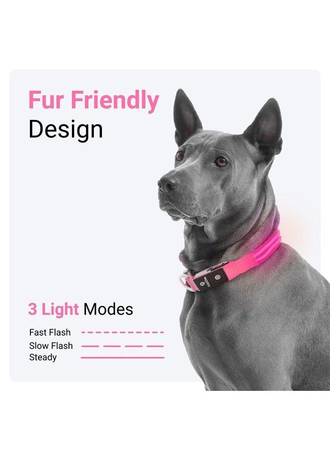 Tractive LED Light Up Dog Collar USB Rechargeable Waterproof (Pink) - Image 1