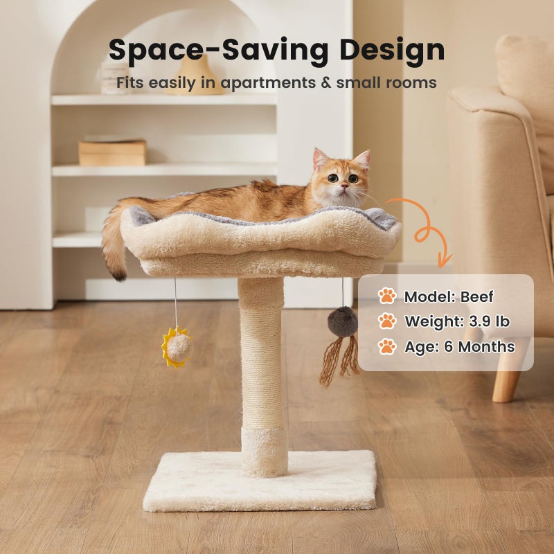 Gardner Pet 20" Cat Tree Corduroy, Solid Wood Small Cat Tree, Compact Cat Tower Perch for Kittens & Indoor Cats(Brown, Circle-Corduroy) - Image 3
