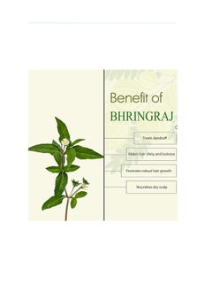 Khadi khadi by vedas remedies Amla Bhringraj Hair Oil For Hair Problems Control Rough Dandruff  - Image 3