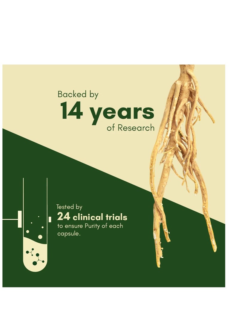 Rasayanam Ashwagandha Ksm66 500Mg  60 Capsules - Image 2