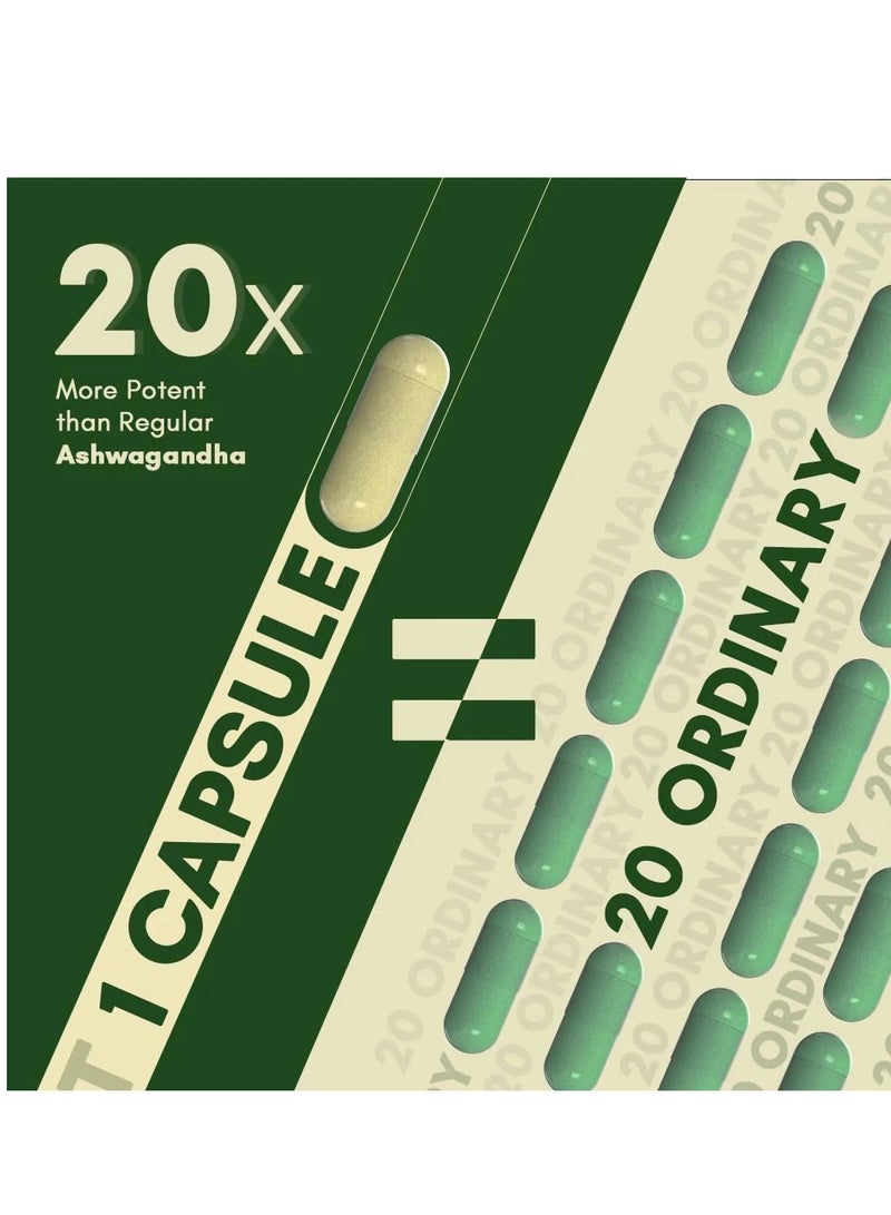 Rasayanam Ashwagandha Ksm66 500Mg  60 Capsules - Image 3