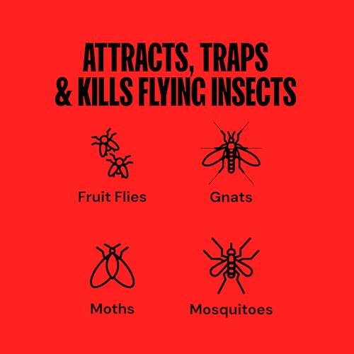 DynaTrap DT152 Indoor Insect Trap and Killer – Catches and Kills Gnats, Flies, Moths & Other Flying Insects - Image 3
