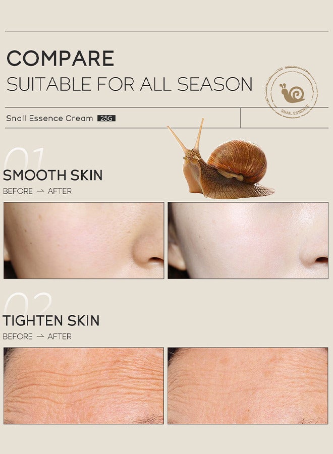 Laikou Korea Snail Essence Cream, Moisturizing Acne Scar Removal Cream, Improve Skin Anti-Aging And Wrinkle Removal And Whitening Cream 25G - Image 4