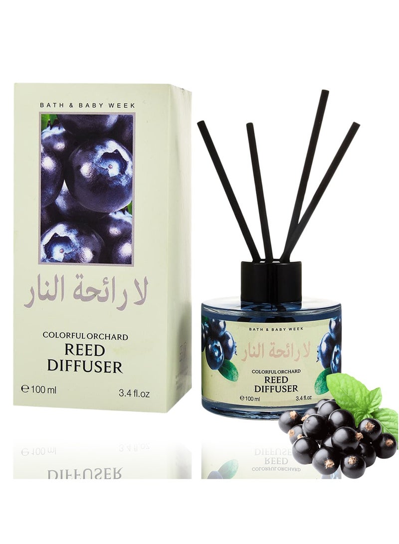 SänHahn 100ml Reed Diffuser Set : Blackcurrant Blended Fragrance Diffuser Air Fresheners Long-Lasting Aromatherapy Diffusers for Home Bedroom Bathroom Office Decor (10% Conc) - Image 1
