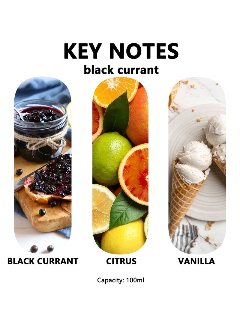 SänHahn 100ml Reed Diffuser Set : Blackcurrant Blended Fragrance Diffuser Air Fresheners Long-Lasting Aromatherapy Diffusers for Home Bedroom Bathroom Office Decor (10% Conc) - Image 2