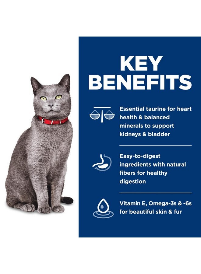 هيل طعام القطط الجاف هيلز ساينس دايت سينيور 7+ بدون ذرة أو قمح أو فول الصويا، 3.5 رطل. - Image 3