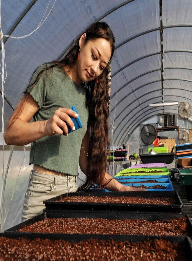 Bootstrap Farmer صواني زراعة بذور الخضراوات الصغيرة من بوتستراب فارمر، قوة إضافية، عبوة من 10 قطع، صينية زراعة 1020 بفتحات للخضراوات الصغيرة وعشب القمح والأعلاف من - Image 5