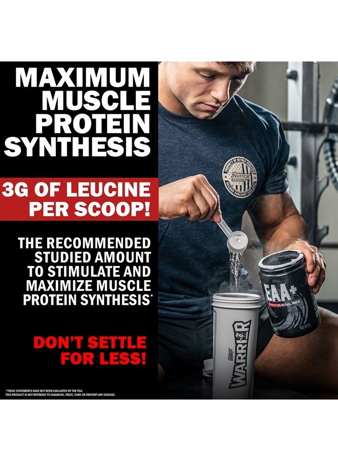 Nutrex Research EAA Hydration | EAAs + BCAA Powder | Muscle Recovery, Strength, Muscle Building, Endurance | 8G Essential Amino Acids + Electrolytes | Blueberry Lemonade 30 Servings - Image 4