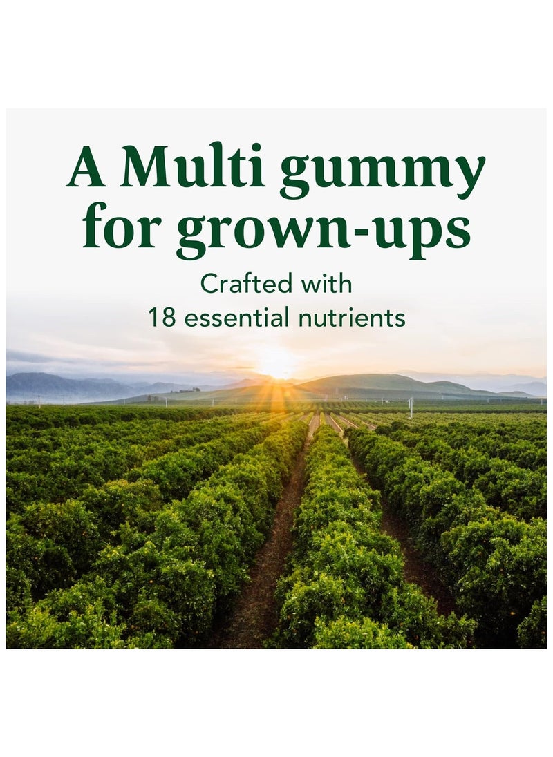 MegaFood Mens Multivitamin Supports Energy Metaboilism Immune,and Muscle Health Dietary Supplement Wild Blueberry 60 Gummies 30 Servings  - Image 3