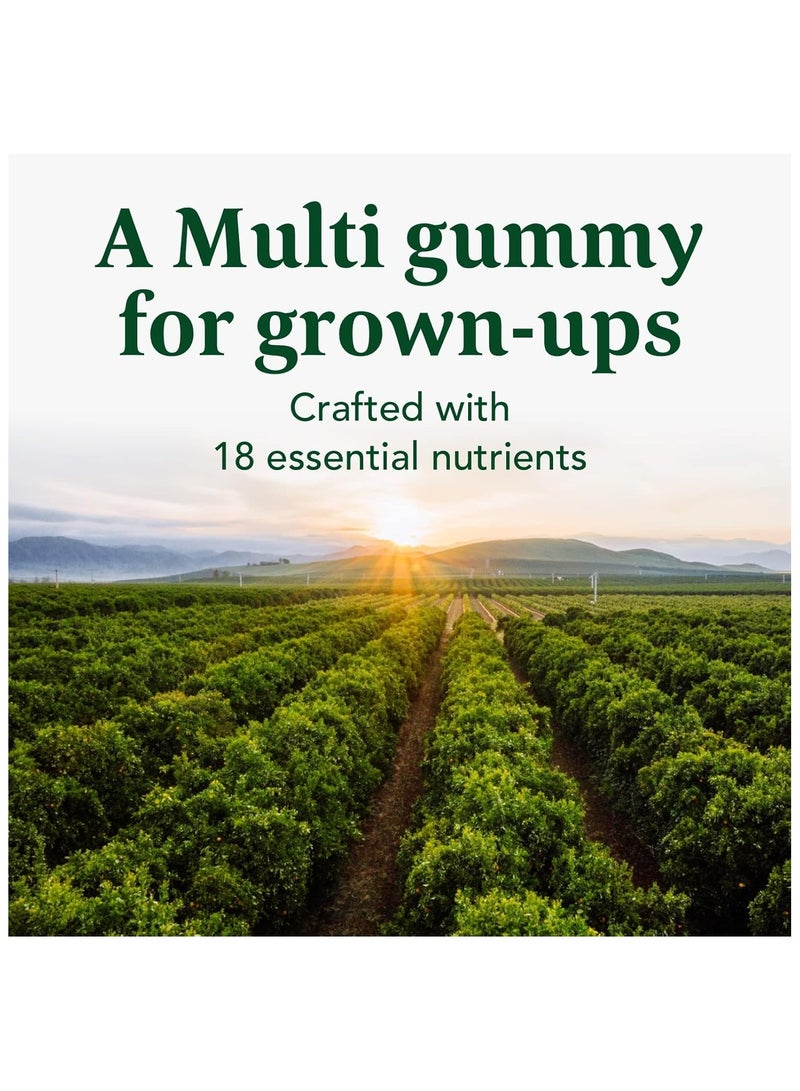 MegaFood فيتامينات متعددة للرجال | تدعم عملية التمثيل الغذائي للطاقة والمناعة وصحة العضلات | مكمل غذائي توت بري بري 60 حبة جيلاتينية 30 حصة - Image 3