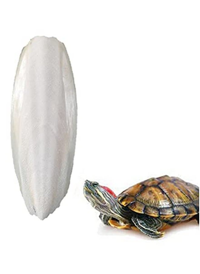 Sage Square Natural High Calcium Source Cuttlebone Fish For Turtle (250Grm)  - Image 1
