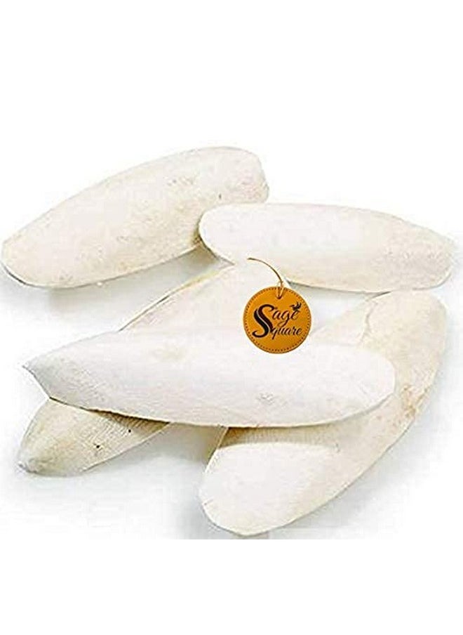 Sage Square Natural High Calcium Source Cuttlebone Fish For Turtle (250Grm)  - Image 3