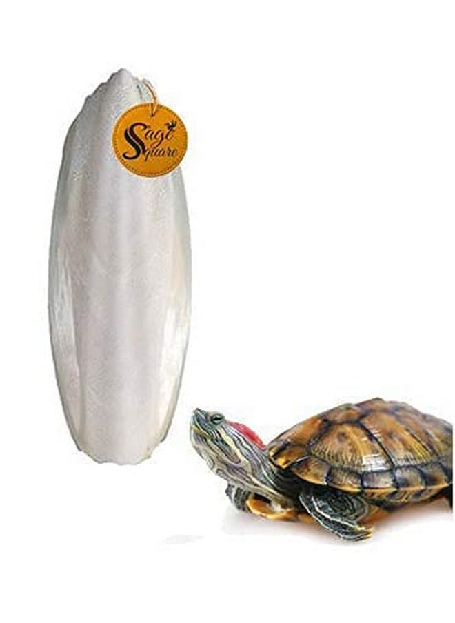 Sage Square Natural High Calcium Source Cuttlebone Fish For Turtle (250Grm)  - Image 2