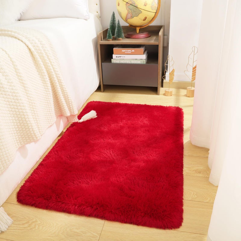 DETUM Red Rug for Girls Bedroom 2x3  Fluffy Floor Rugs for Living Room Indoor Home Small Rug for Entryway Hallyway Kitchen Bedside Soft Kids Room Rugs Furry and Washable Dorm Rug for College Room Decor - Image 1