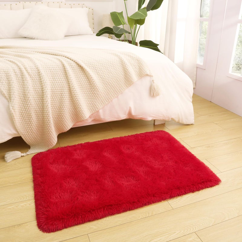 DETUM Red Rug for Girls Bedroom 2x3  Fluffy Floor Rugs for Living Room Indoor Home Small Rug for Entryway Hallyway Kitchen Bedside Soft Kids Room Rugs Furry and Washable Dorm Rug for College Room Decor - Image 3