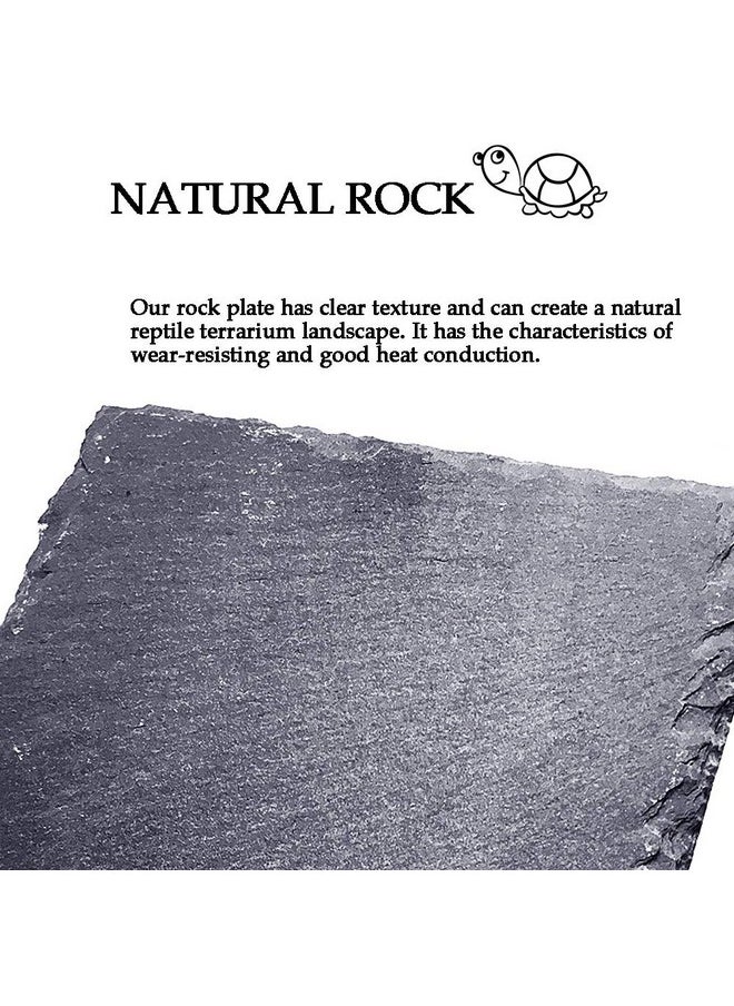Kathson - Reptile Basking Platform Tortoise Rock Plate Turtle Bathing Area Feeding Food Dish Resting Terrace - Image 1