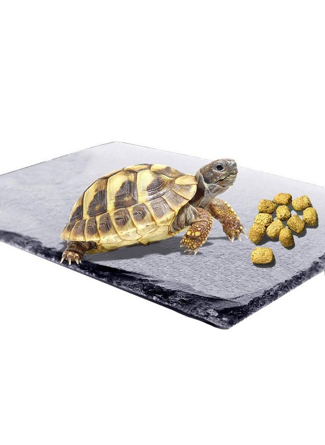Kathson - Reptile Basking Platform Tortoise Rock Plate Turtle Bathing Area Feeding Food Dish Resting Terrace - Image 1