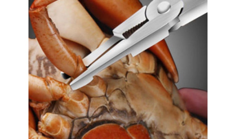 Zoov Crab Legs Shellfish Lobster Shell Opener Crackers Nut Cracker Crab Forks (1 Pcs) - Image 5