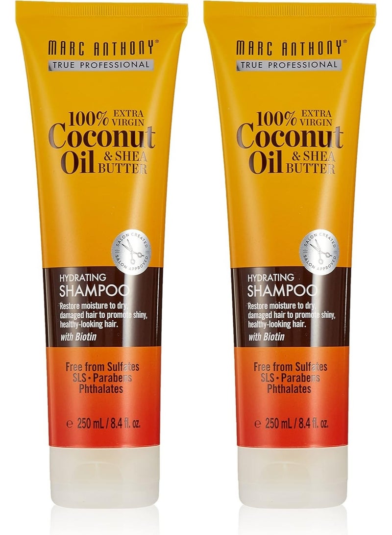 مارك أنتوني شامبو البيوتين المغذي بجوز الهند وزبدة الشيا للشعر الجاف والتالف 250 مل (قطعتين) - Image 1