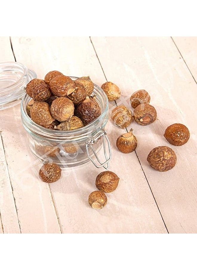 Sabut Reetha Soap Nuts 250 Gr Natural (Bmkb206) - pzsku/ZBB31F502336D095A6DDBZ/45/_/1690524344/4442790f-f81e-41bd-8e75-64273f2a8d37