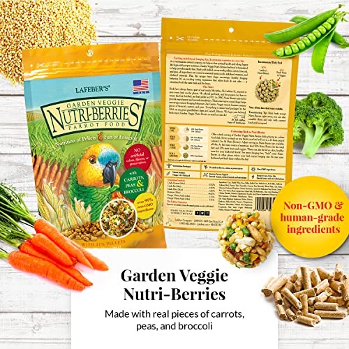 LAFEBER'S Gourmet Nutri-Berries Pet Bird Food Variety Sampler Bundles, Made with Non-GMO and Human-Grade Ingredients, for Parrots, 10 oz. Each (4 Pk Bundle) - Image 4