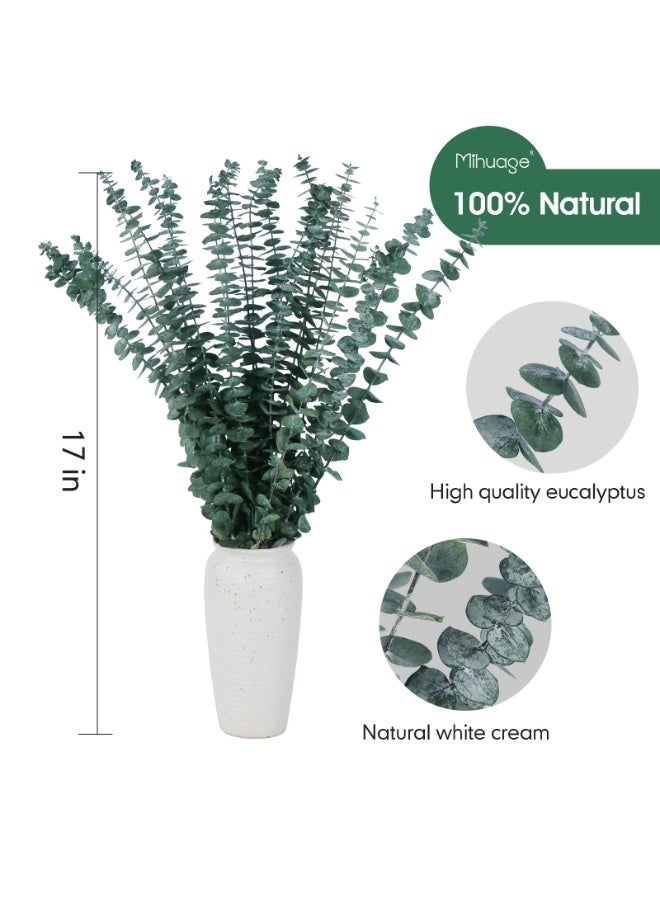 20 Pcs Dried Preserved Eucalyptus Stems 17" Natural Green Plant Made from Real Eucalyptus Leaves Branches for Flower Arrangement, Wedding Decor, Home Décor,DIY arrangement - Image 5