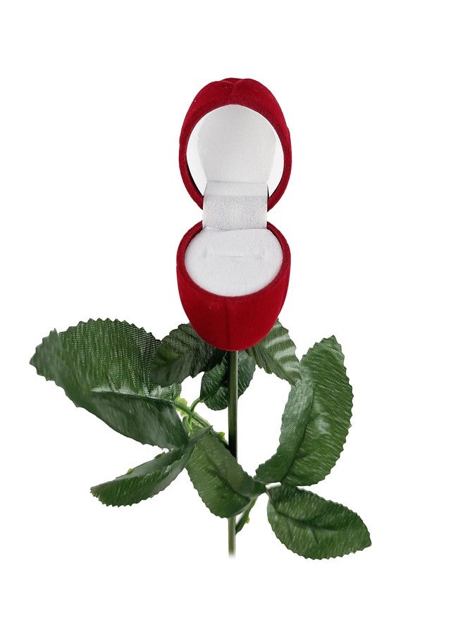 Time Roaming Red Rose Jewelry Box Case for Ring Earring - Image 3