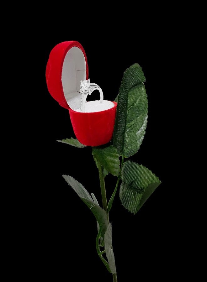 Time Roaming Red Rose Jewelry Box Case for Ring Earring - Image 4