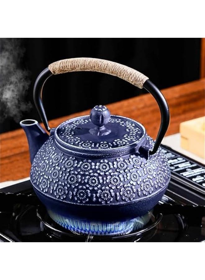 Generic - Cast Iron Teapot Japanese 30.5 OZ, Tea Kettle Pot for Stove Top, Tea Pot with Stainless Steel Infusers for Loose Tea, Boiling Hot Water Tea, Mothers Day Gifts from Daughter/Son (Blue) - Image 1