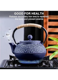 Generic Cast Iron Teapot Japanese 30.5 OZ, Tea Kettle Pot for Stove Top, Tea Pot with Stainless Steel Infusers for Loose Tea, Boiling Hot Water Tea, Mothers Day Gifts from Daughter/Son (Blue)  - Image 2