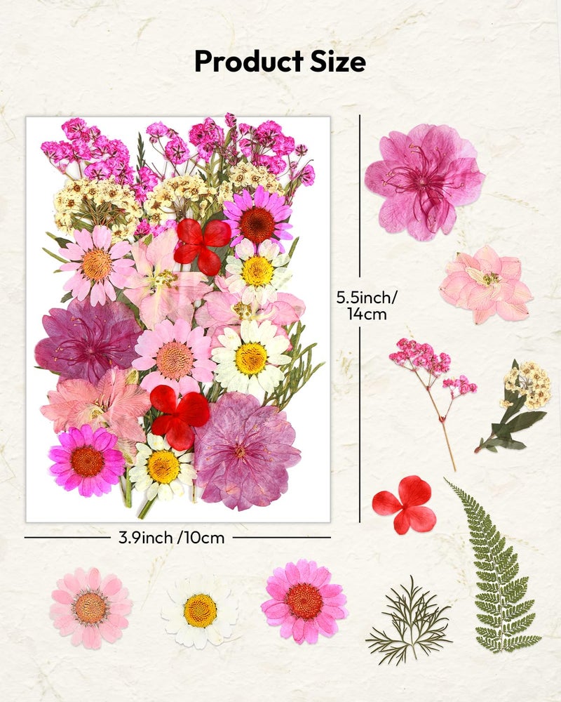 Resiners Dried Flowers, Resiners 100Pcs Pressed Flowers for Craft Purple Real Natural Dried Flowers Dry Leaves Kit for DIY Making Crafts Resin Soap Candle Scrapbook Supplies Card Making Jewelry - Image 5